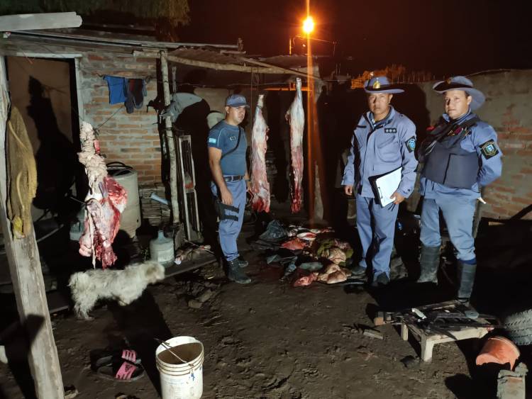 QUITILIPI : La policia rural sieguio huellas de cuatreros mas de 7 km.cuando llegaron tres cuatreros ya habian faenando un vacuno ajeno